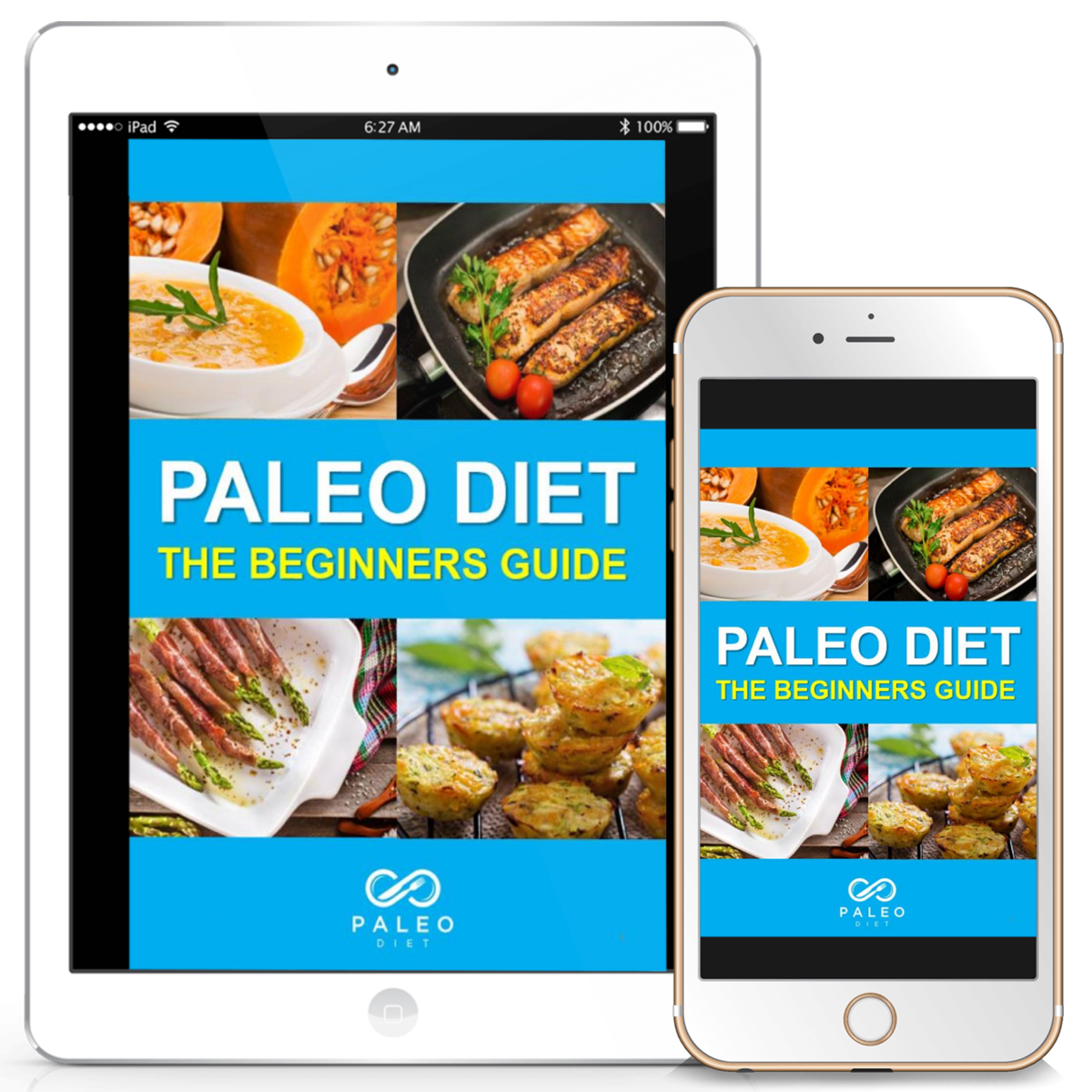 free-ebook-cover-stoneage-diet-beginners-guide-combo